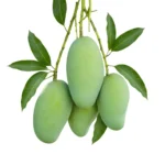 Amrapali Mango 5 Kg